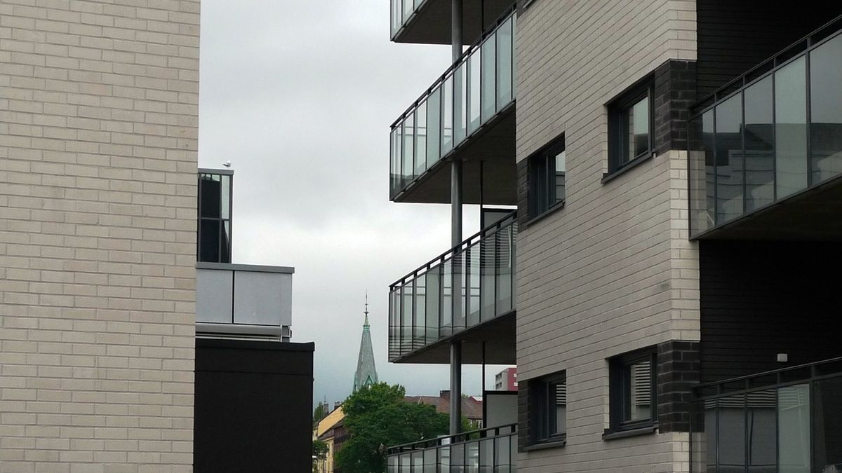 Torshov Torg