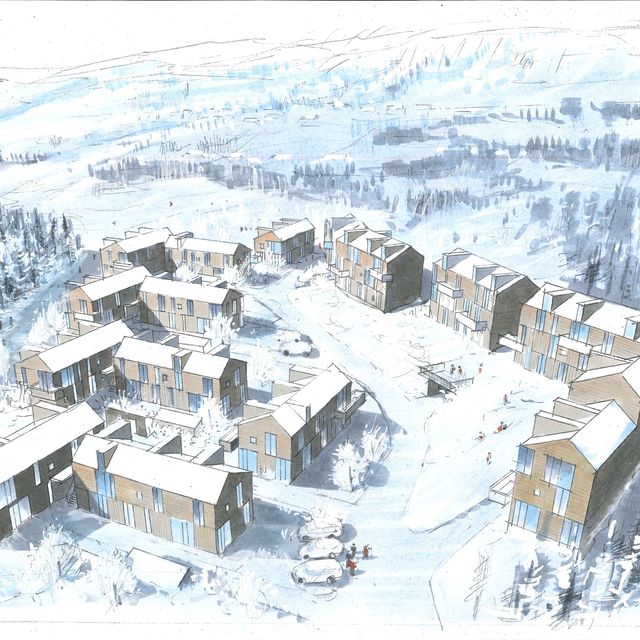 Illustrasjon av Kvitplassen