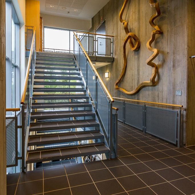 Voksentoppen skole Interiør Foto