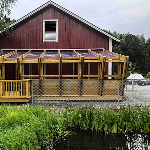  Rehabilitering av Bakkeløkka Gård