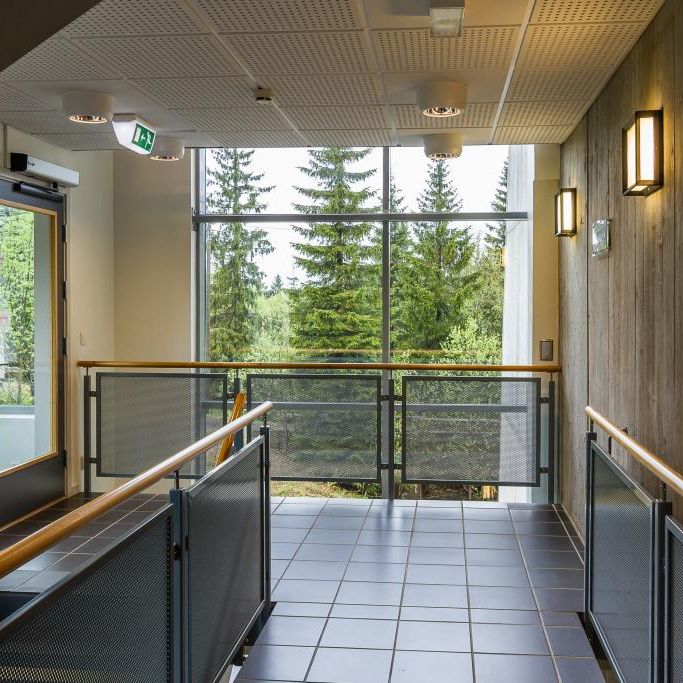 Voksentoppen skole Interiør Foto